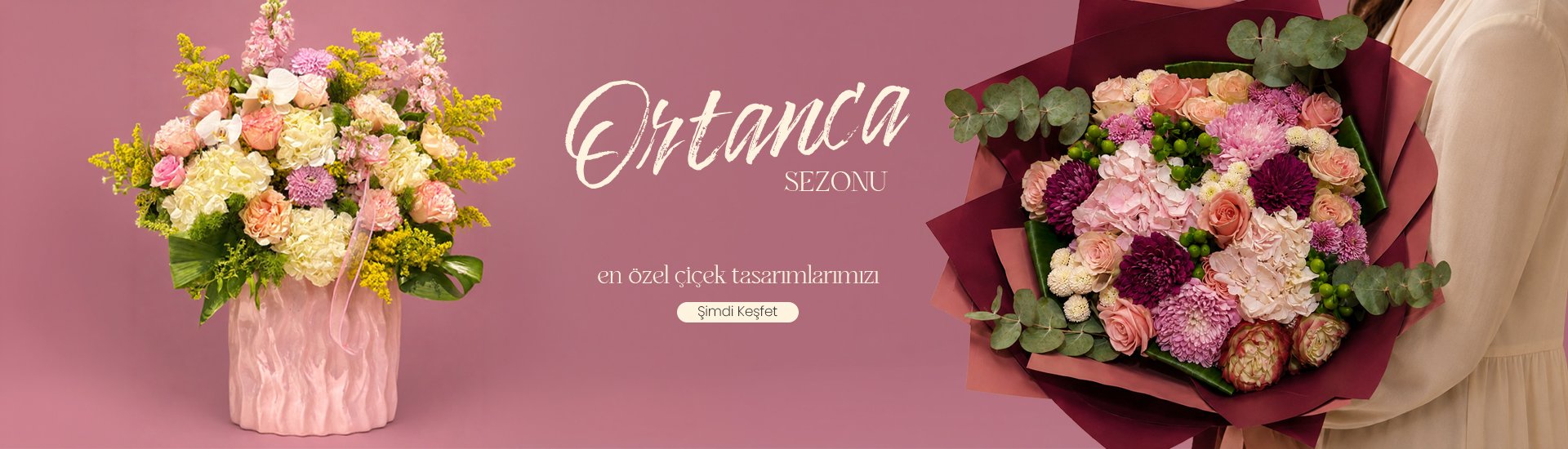 Ortanca
